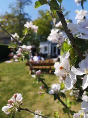 B&B de Koffietuin